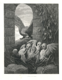 Fable "L'Aigle et le Hibou"