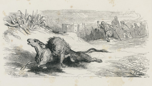 Fable "L'Âne vêtu de la peau du lion"