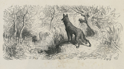 Fable "Le Loup et l'Agneau"
