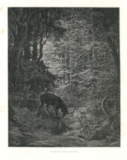 Fable "Le Cerf se voyant dans l'eau"
