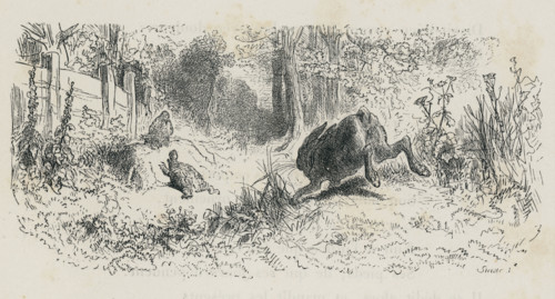 Fable "Le Lièvre et la Tortue"