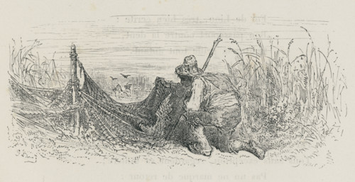 Fable "L'Oiseleur, l'autour et l'alouette"