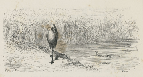 Fable "Le Héron"
