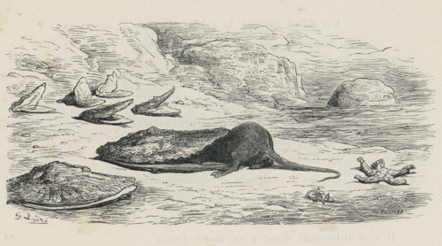 Fable "Le Rat et l'huître"