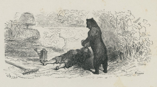 Fable "L'Ours et l'amateur des jardins"