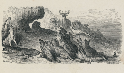 Fable "Les obsèques de la Lionne"