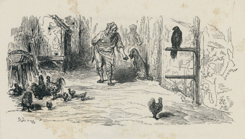 Fable "Le Faucon et le chapon"