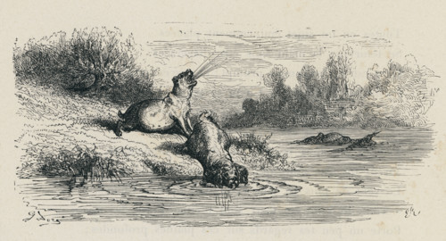 Fable "Les Deux chiens et l'âne mort"