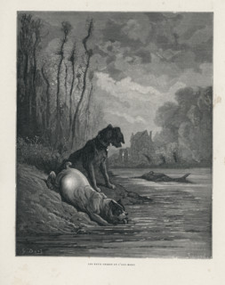 Fable "Les Deux chiens et l'âne mort"