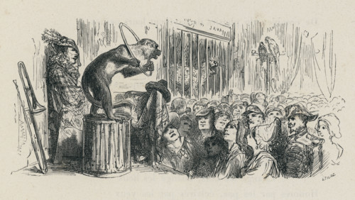 Fable "Le Singe et le léopard"