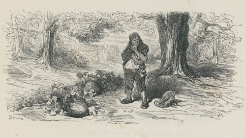 Fable "Le Gland et la citrouille"