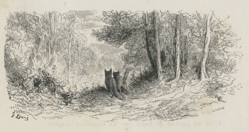 Fable "Le Chat et le renard"