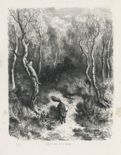 Fable "Le Chat et le renard"