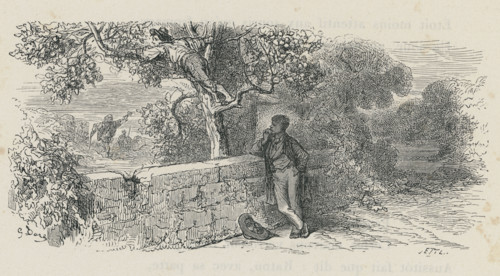 Fable "Le Singe et le Chat"