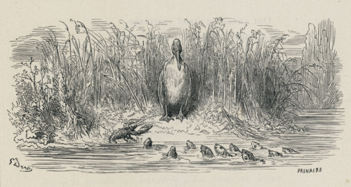 Fable "Les Poissons et le Cormoran"