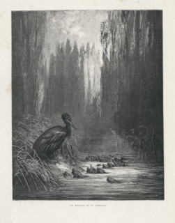Fable "Les Poissons et le Cormoran"