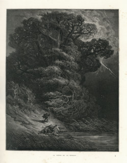 Fable "Le Chêne et le Roseau"
