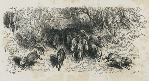 Fable "Les Lapins"