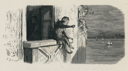 Fable "Le Thésauriseur et le Singe"