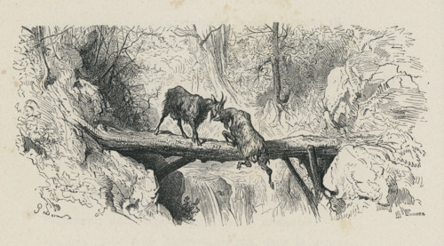 Fable "Les Deux chèvres"
