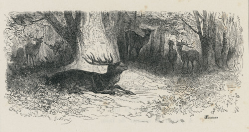 Fable "Le Cerf malade"