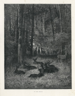 Fable "Le Cerf malade"