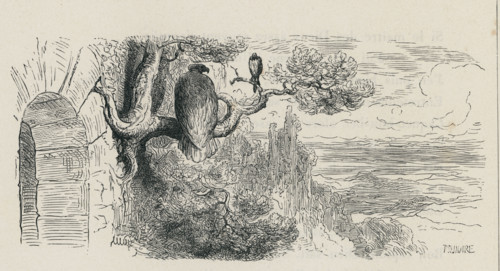 Fable "L'Aigle et la Pie"