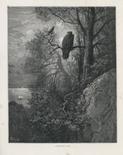 Fable "L'Aigle et la Pie"