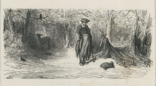 Fable "Le Corbeau, la gazelle, la tortue et le rat"