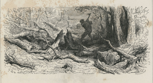 Fable "La Forêt et le bûcheron"