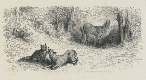 Fable "Le Renard, le loup et le cheval"