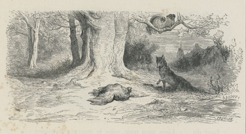 Fable "Le Renard et les poulets d'Inde"