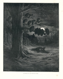 Fable "Le Renard et les poulets d'Inde"