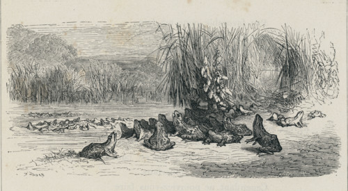 Fable "Le Soleil et les Grenouilles"