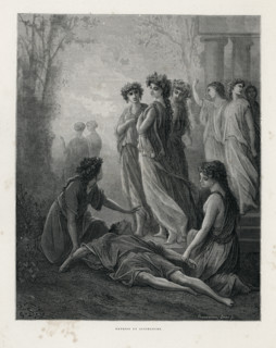 Fable "Daphné et Alcimadure"