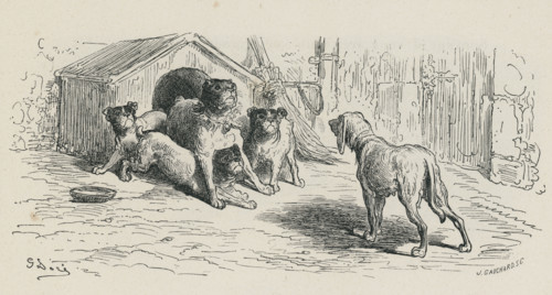 Fable "La Lice et sa compagne"