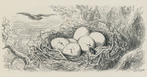 Fable "L'Aigle et l'escarbot"