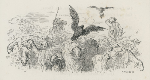 Fable "Le Corbeau voulant imiter l'aigle"