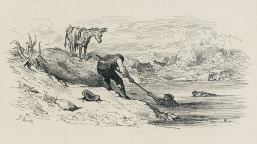 Fable "L'Âne chargé d'éponges et l'Âne chargé de sel"