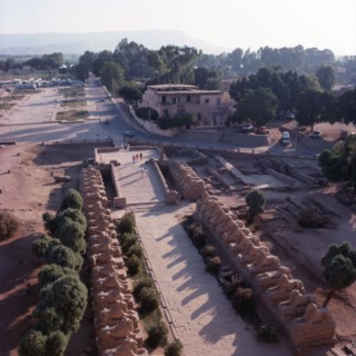 Karnak, Temple of Amon-Ra, processional avenue of sphinxes