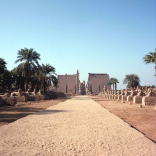 Luxor, Processional avenue of sphinxes leading to the entrance pylon of the temple