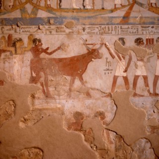 Tombes thébaines : Ouser N°260