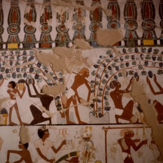 Theban tombs: Khaemuset No.261