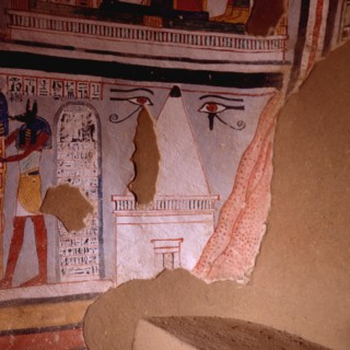 Tombes thébaines : Roy N°255