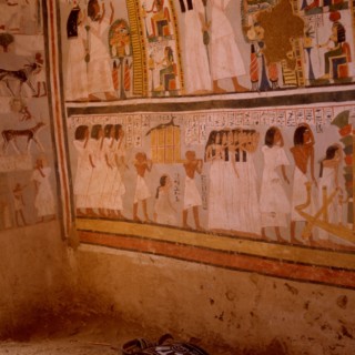 Tombes thébaines : Roy N°255