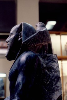 Khephren, le faucon en protection sur sa nuque