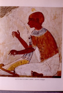 Musicien harpiste aveugle