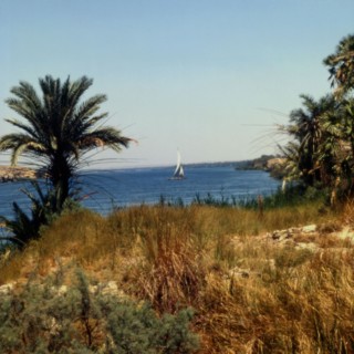 The Nile