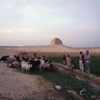 Herd of goats with goatherds