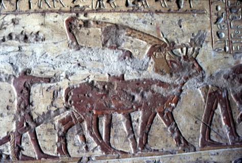 El Kab, Tomb of Paheri, Farming scenes